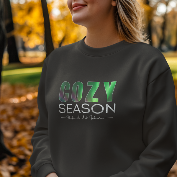 Cozy Season Northern Lights Crewneck